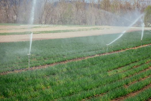 Irrigation plant on an agriculture field, summer day, soil