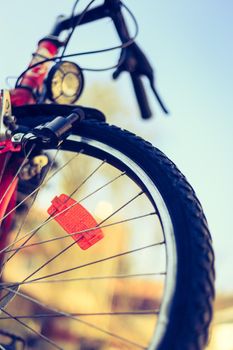 Close up picture of a mountain bike tyre, summer day. Bike in the blurry background.