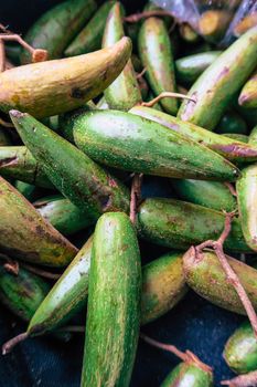 Fresh Dittoceras Maculatum Kerr Fruits, It is a rare fruit from Doi Phu Kha, Nan Province, northern Thailand.