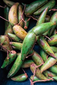 Fresh Dittoceras Maculatum Kerr Fruits, It is a rare fruit from Doi Phu Kha, Nan Province, northern Thailand.