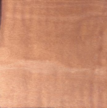 Natural Dyed sycamore burgundy wood texture background. Dyed sycamore burgundy veneer surface for interior and exterior manufacturers use.