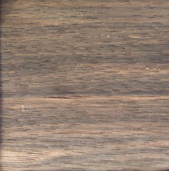 Natural Ebony crown cut wood texture background. Ebony crown cut veneer surface for interior and exterior manufacturers use.