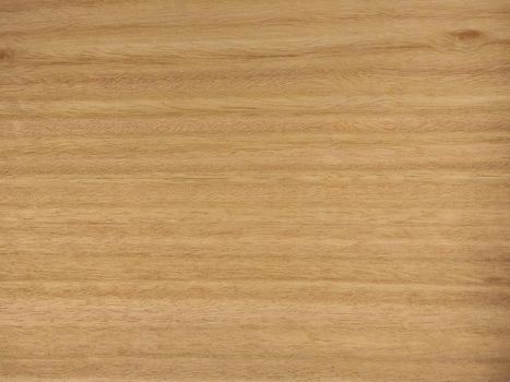 Natural Eucalyptus pommele wood texture background. Eucalyptus pommele veneer surface for interior and exterior manufacturers use.
