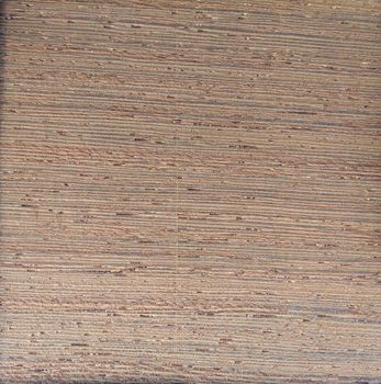 Natural Gray wengen crown cut wood texture background. Gray wengen crown cut veneer surface for interior and exterior manufacturers use.