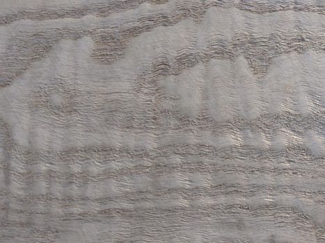 Natural Silver splash fresno wood texture background. Silver splash fresno veneer surface for interior and exterior manufacturers use.