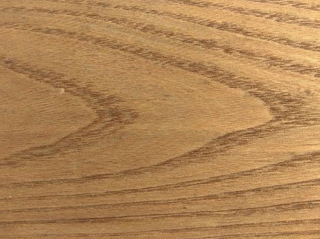 Natural Silver splash olmo wood texture background. Silver splash olmo veneer surface for interior and exterior manufacturers use.