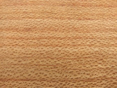Natural Southern oak quarter cut wood texture background. Southern oak quarter cut veneer surface for interior and exterior manufacturers use.