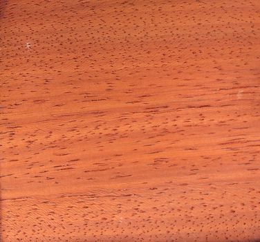Natural Zara crown cut wood texture background. Zara crown cut veneer surface for interior and exterior manufacturers use.