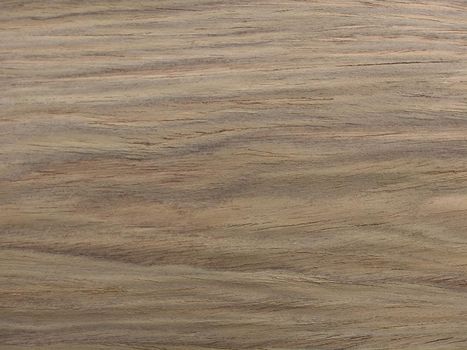 Natural gray american walnut flat cut wood texture background. veneer surface for interior and exterior manufacturers use.