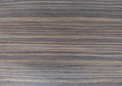 Natural coral louro preto wood texture background. veneer surface for interior and exterior manufacturers use.