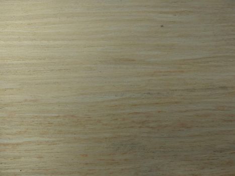 european gray ash quarter wood texture background. veneer surface for interior and exterior manufacturers use.