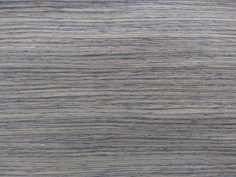 Natural american walnut wood texture background. veneer surface for interior and exterior manufacturers use.