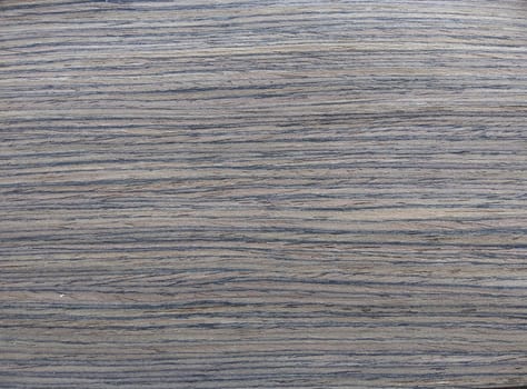 Natural gray american walnut wood texture background. veneer surface for interior and exterior manufacturers use.