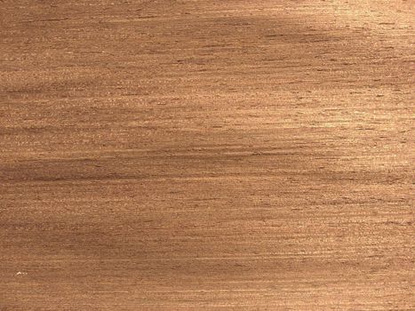 Natural light mahogany quarter wood texture background. veneer surface for interior and exterior manufacturers use.