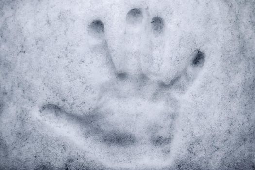 Hand imprint in fresh white snow during winter