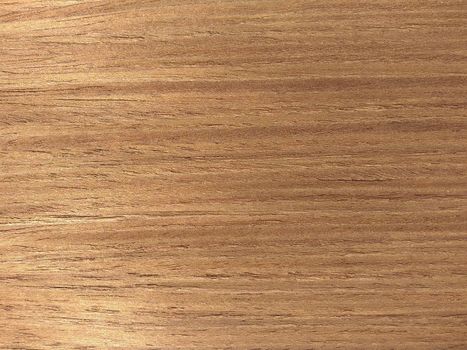 Natural rose american walnut wood texture background. veneer surface for interior and exterior manufacturers use.