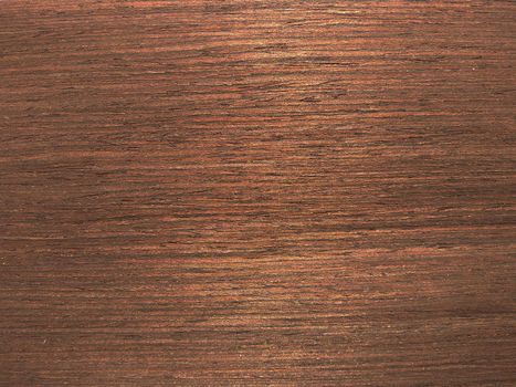 Natural Dark wenge wood veneer close up image. natural textured slices of wood.