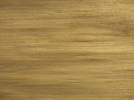 Natural yellow cedar wood texture background. veneer surface for interior and exterior manufacturers use.