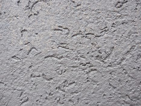 Exterior and interior dry gray color plaster surface and texture close up photo.