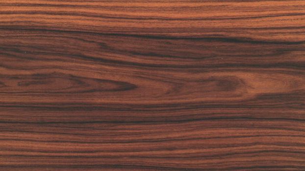 Natural american black walnut wood texture background. veneer surface for interior and exterior manufacturers use.