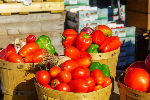 Tomatoes and other vegtables on sale in the Jean-Talon Market Market, Little Italy district, Montreal, Quebec, Canada