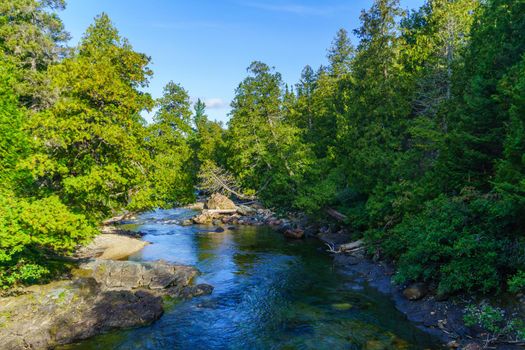 View of the Sainte-Anne-du-Nord River, in Gaspesie National Park, Gaspe Peninsula, Quebec, Canada