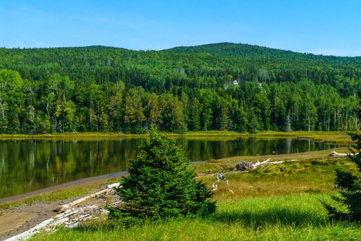 Landscape of forest and pools in the Penouille sector of Forillon National Park, Gaspe Peninsula, Quebec, Canada