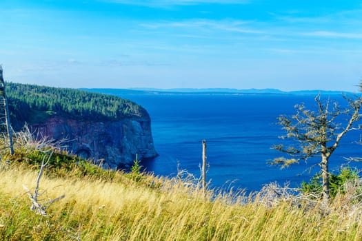 View of cliffs in the Bonaventure Island, near Perce, at the tip of Gaspe Peninsula, Quebec, Canada