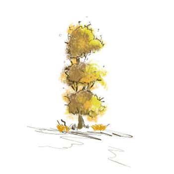 yellow tree on a white background with imitation of a small wind