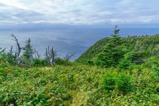 Views of the skyline trail, in Cape Breton Highlands National Park, Nova Scotia, Canada