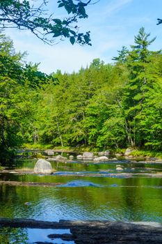 View of the Mersey river, in Kejimkujik National Park, Nova Scotia, Canada