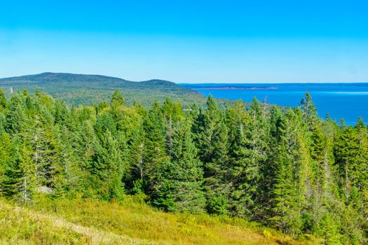 View of trees and landscape in Fundy National Park, New Brunswick, Canada