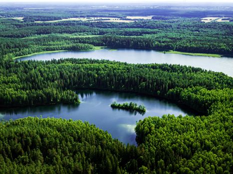 Top view of a forest lake