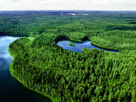 Top view of a forest lake