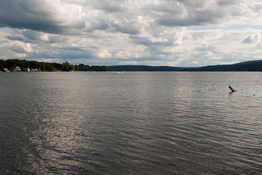 Scenes from the Finger Lakes of New York