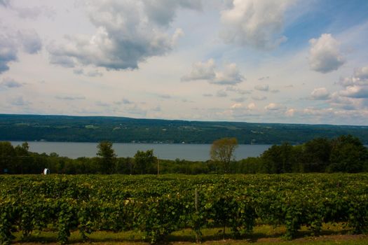 Scenes from the Finger Lakes of New York