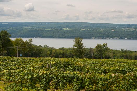 Scenes from the Finger Lakes of New York
