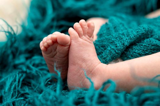 Close-up of of 2 weeks newborn baby feet old in blue fluffy blanket. Pretty newborn baby feet.