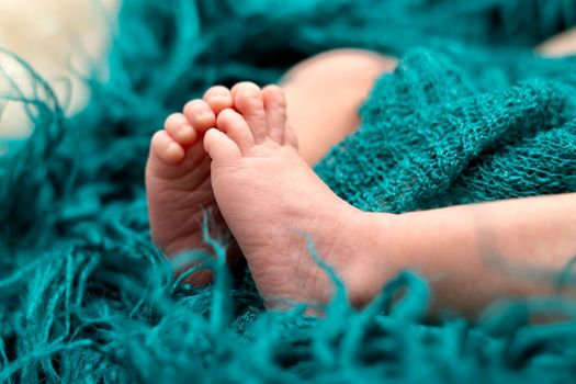 Close-up of of 2 weeks newborn baby feet old in blue fluffy blanket. Pretty newborn baby feet.