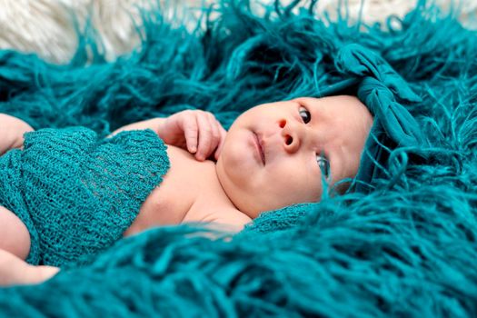 Newborn baby 2 weeks old in blue fluffy blanket. Portrait of pretty newborn baby.