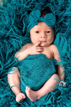 Newborn baby 2 weeks old in blue fluffy blanket. Portrait of pretty newborn baby.