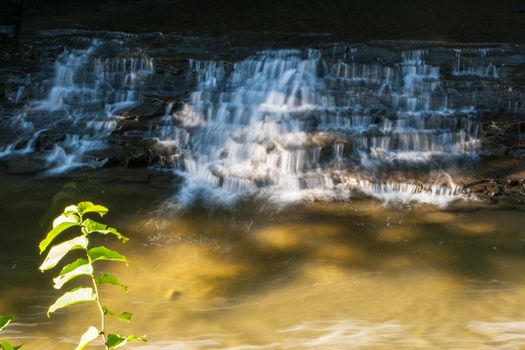 Scenes from Robert E Treman state park in New York's Finger Lakes region