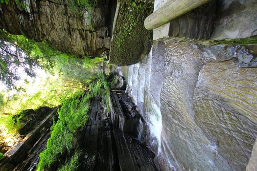 Robert E Treman State Park, New York