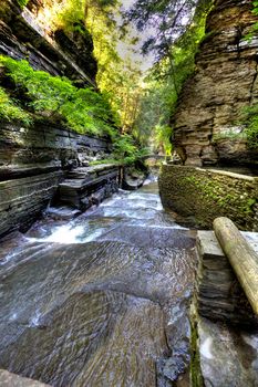 Robert E Treman State Park, New York