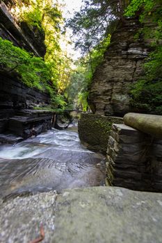 Robert E Treman State Park, New York