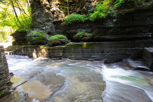Robert E Treman State Park, New York