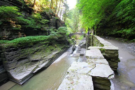 Robert E Treman State Park, New York
