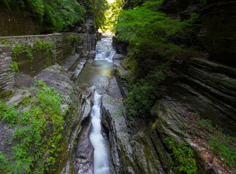 Robert E Treman State Park, New York