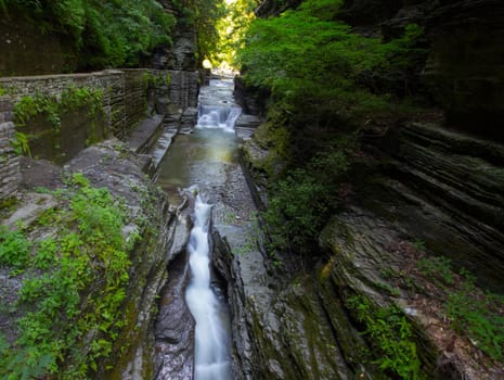 Robert E Treman State Park, New York