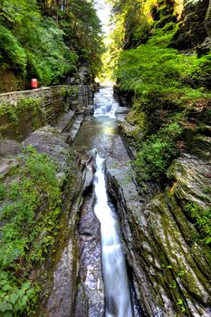 Robert E Treman State Park, New York